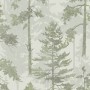 Green   for ; Finish -